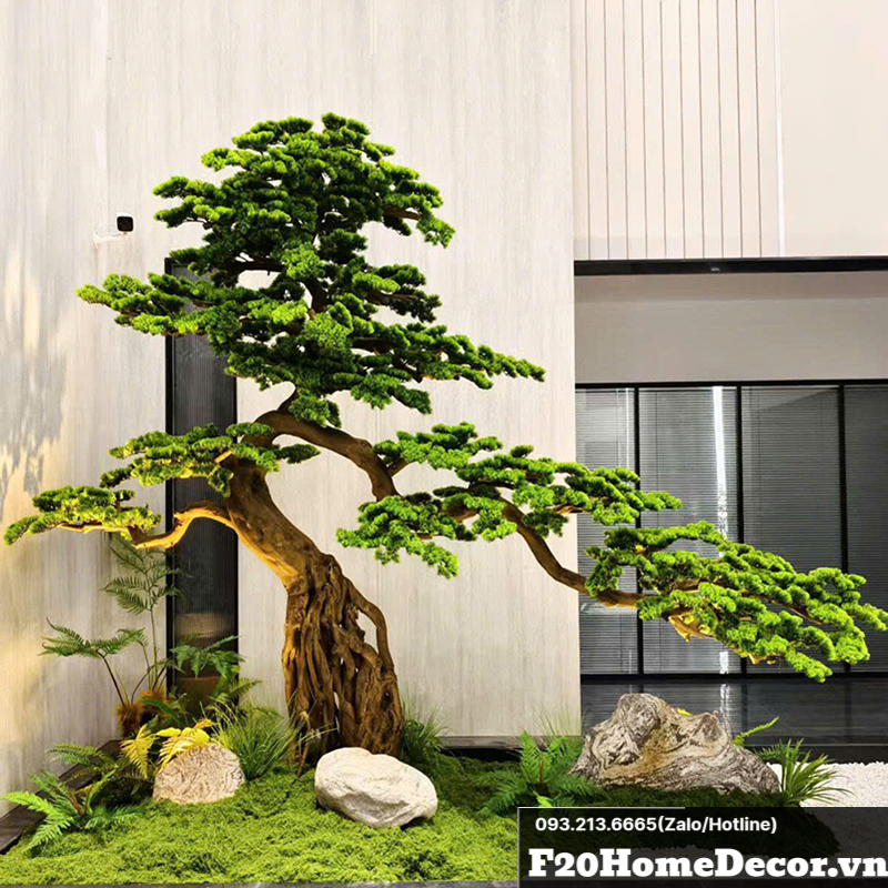 Cy Bonsai gi dng p trang tr nh ca