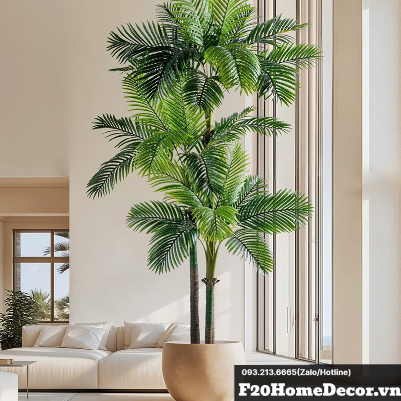 Cây cau vàng Dypsis Lutescens giả